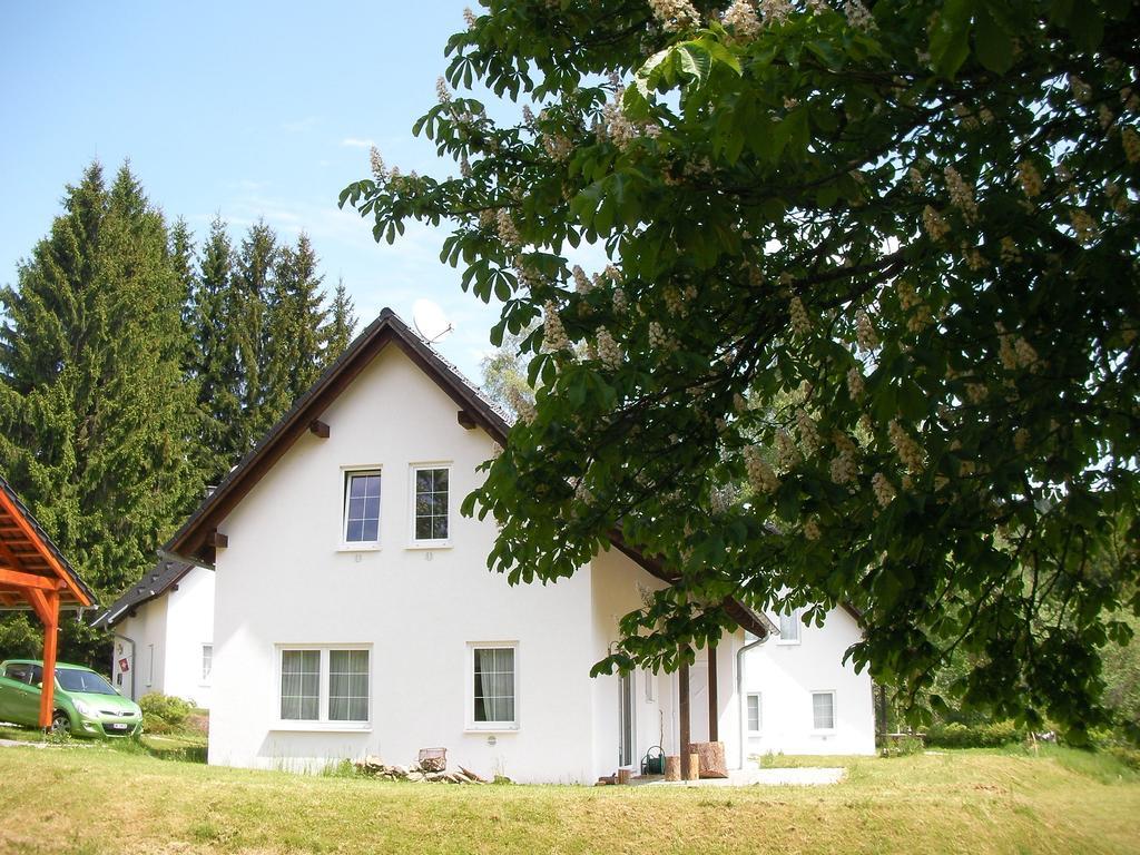 Villa Dum Na Lipne Lipno nad Vltavou Habitación foto
