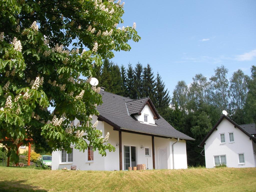 Villa Dum Na Lipne Lipno nad Vltavou Habitación foto